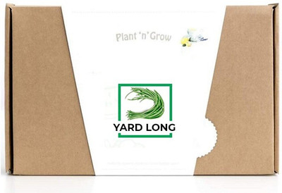 CYBEXIS Yard Long Beans-100 Seeds Seed(100 per packet)