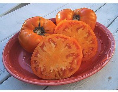 Jevik Berkeley-Tie-Dye-Tomato Seed(185 per packet)