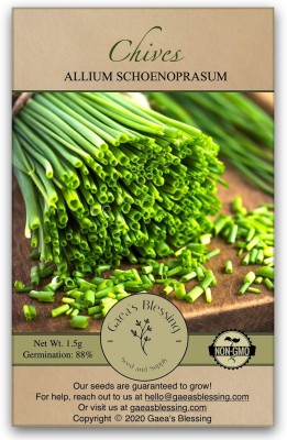 Qualtivate HYB-5A Chives Seeds Seed(300 per packet)