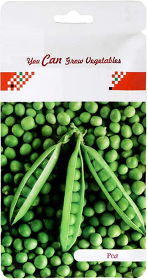 KNESSiN Pea Seed(500 per packet)