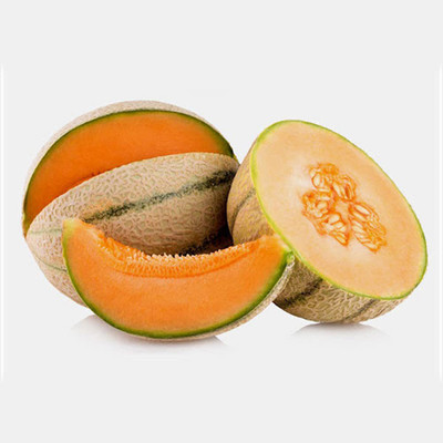 WILLVINE TLX-76 Muskmelon Fruits Seeds Seed(200 per packet)