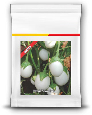 VibeX ® XLR-32 Brinjal Snowball Seeds Seed(200 per packet)
