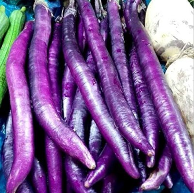 Qualtivate RES-5A Long Purple Brinjal Seeds Seed(300 per packet)