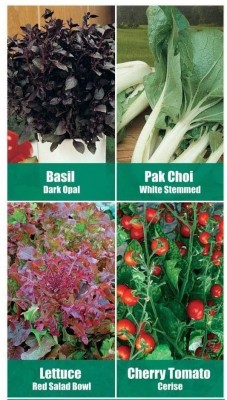 CYBEXIS Chefs Kitchen Seeds Basil, Pak Choi,Cherry Tomato, Parsley Seed(10 g)