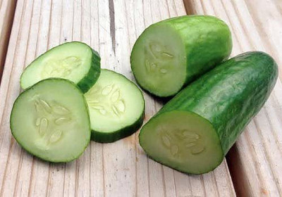 CYBEXIS NDIR-34 - Muncher Burpless Sweet Cucumber - (1350 Seeds) Seed(1350 per packet)