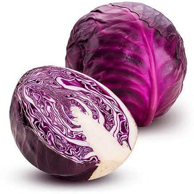 WILLVINE SYN -XVI Red Acre Cabbage Vegetable Seeds [10g] Seed(3000 per packet)