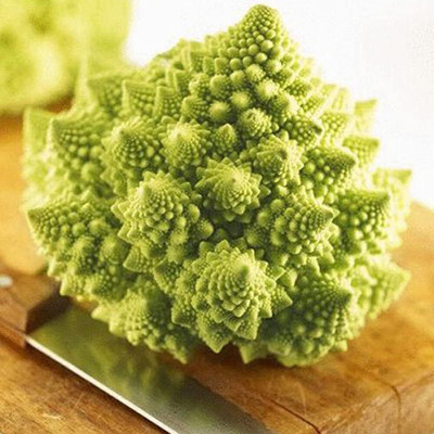 KNESSiN DLH-1 Pagoda Cauliflower Seed(500 per packet)