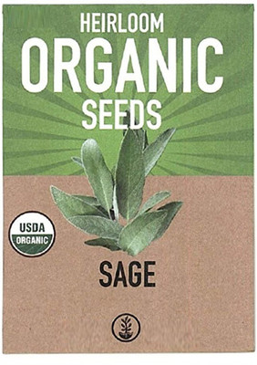 CYBEXIS Sage Herb Seed2800 Seeds Seed(2800 per packet)