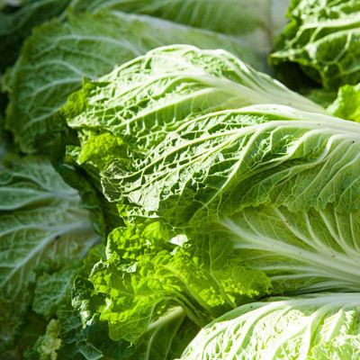 Flipkart SmartBuy Chinese Cabbage Seed(30 per packet)