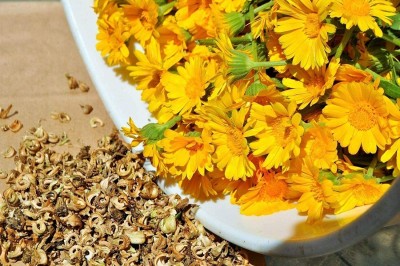 DROXTY ® PUAS-184-Calendula Seeds - Resina - Pot Marigold-15 x Seeds Seed(15 per packet)