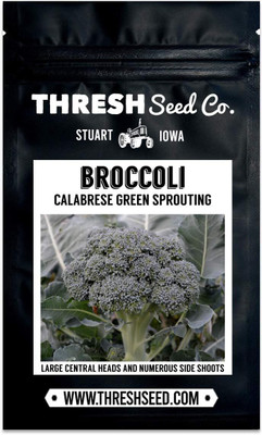 WILLVINE PUSA -VIII Calabrese Green Sprouting Broccoli [5g] Seed(1500 per packet)