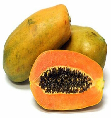 KLARKEE Florida Red Royale Papaya Seeds Seed(20 per packet)