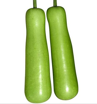 ACMS LAGENARIA SICERARIA AJK -95 Bottle Gourd SEED Home Garden Seed(100 per packet)
