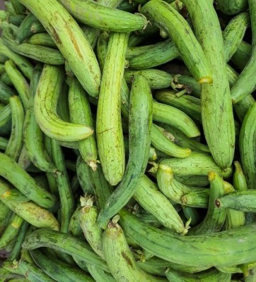 VibeX Sponge Gourd Hybrid for Summer Season[50 Gms, 250 Seeds] Seed(250 per packet)