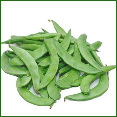 RUDRAAMAA Hybrid Sem Phali (Broad Beans) Seeds Seed(50 per packet)