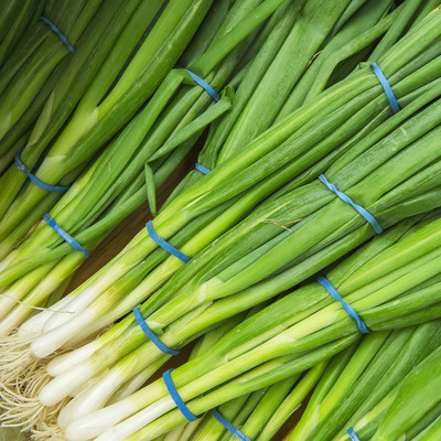 Biosnyg Evergreen Bunching Onion Garden Seeds[500 Seeds] Seed(500 per packet)