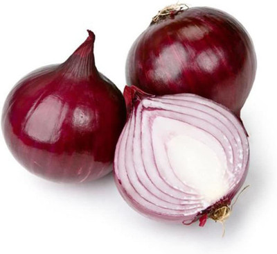 CYBEXIS Red Onion Sweet Seeds 2000 Seeds Seed(2000 per packet)