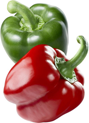 Biosnyg Organic Giant Red Capsicum Vegetable Seeds For Planting-(50 Seeds) Seed(50 per packet)