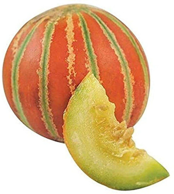 VibeX ATS-50 - Musk Melon Kajri F1 Hybrid Imported - (1350 Seeds) Seed(1350 per packet)