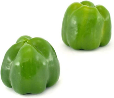 CYBEXIS Hybrid Sweet Bell Pepper Capsicum Seeds 2400 Seeds Seed(2400 per packet)