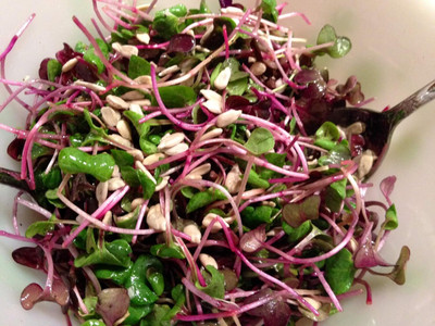 KNESSiN Arugula Microgreen for Sprouting Sprouts-{800 Seeds} Seed(800 per packet)