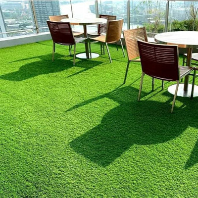 PMA Maxican Carpet Grass Seeds, Grass Seeds for Playground Seed(14000 per packet)