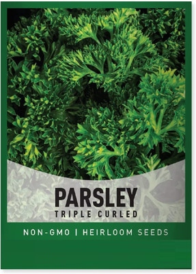 Qualtivate GBPUT-148 Parsley Triple Moss Curled Seed(500 per packet)