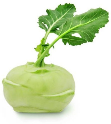 WASP Cabbage Seed(1000 per packet)