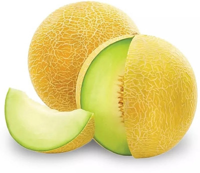 Quentova Organic Muskmelon sweet honeydew-TKK-11K Seed(100 per packet)