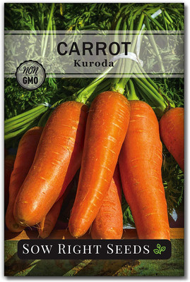 CYBEXIS LX-64 - Kuroda Carrot - (750 Seeds) Seed(750 per packet)