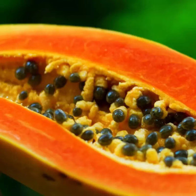 wequality papaya Seed(410 per packet)