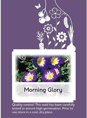 CYBEXIS glory Seed(400 per packet)