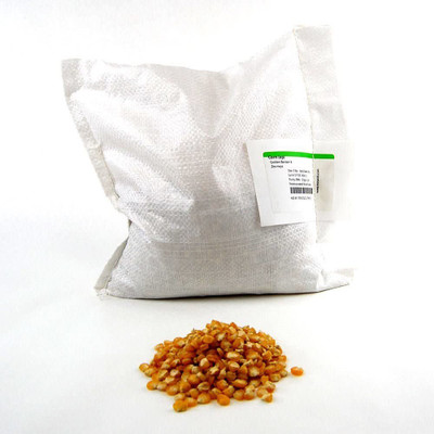 WILLVINE NDIR-740 Golden Bantam Corn Seeds Seed(500 per packet)