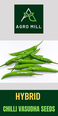WILLVINE SCI -XVI CHILLI VASUDHA GREEN/HARI MIRCH[10gm] Seed(2000 per packet)