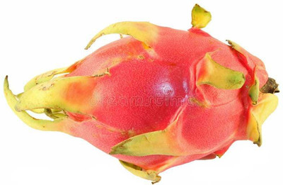 Oliver hybrid dragon fruit seed Seed(10 per packet)
