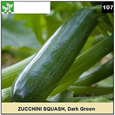 CYBEXIS ZUCCHINI, DARK GREEN SQUASH-50 Seeds Seed(50 per packet)