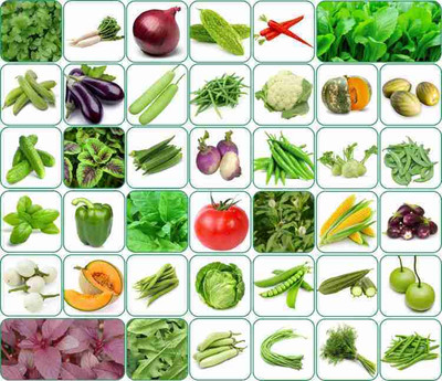 Vermag Vermag Seeds, 45 variety vegetable seeds combo pack, with instruction manual. Seed Seed(50 per packet)