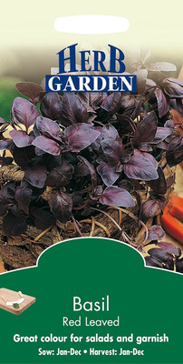 WILLVINE Herb Seeds, Basil Red Leaved-[2000 Seeds] Seed(2000 per packet)