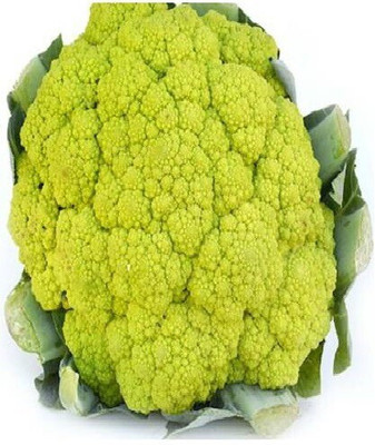 ALPINE HYBRID SEEDS Green Cauliflower Seed(50 per packet)