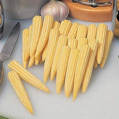 CYBEXIS F1 Minipop Sweetcorn Seeds 2000 Seeds Seed(2000 per packet)
