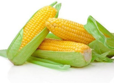 Pbevergreen sweet corn seeds/Corn seed 86 Seed(86 per packet)