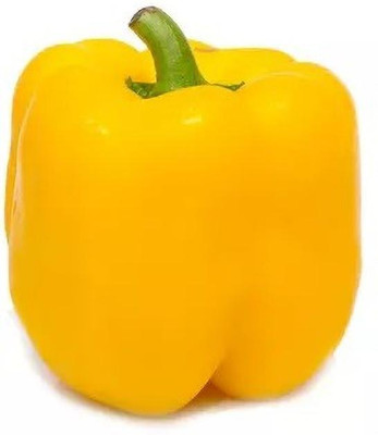 Quentova Capsicum Yellow Bell Pepper-6Y-US Seed(50 per packet)