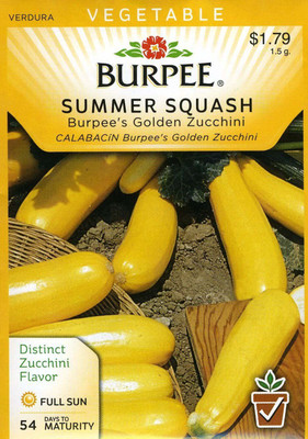 CYBEXIS PAU-11 - Golden Zucchini - (75 Seeds) Seed(75 per packet)
