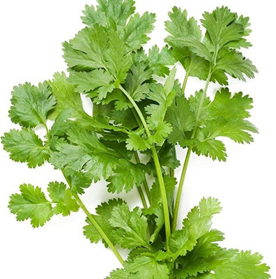 Aro Parsley Seed(31 per packet)