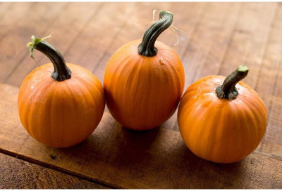 VNR Fresh VNR Pumpkin Hybrid Vegetable Seed(100 per packet)