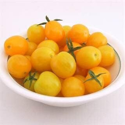 KNESSiN Heirloom Esterina Cherry Tomato Seeds For Hydrophonics - (1000 Seeds) Seed(1000 per packet)