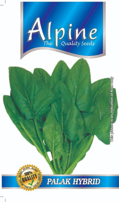 Cloud Farm spinach Seed(200 per packet)