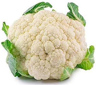 KNESSiN First White Cauliflower Seed(1250 per packet)