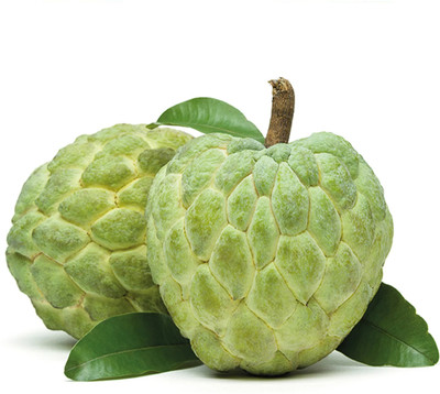 DEYS AGRO ™ custard apple seeds hybrid, sitafal fruit seeds|sugar apple|sweetsop Seed(20 per packet)