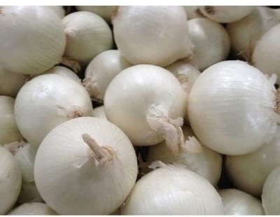 Aywal White Onion Super Nasik Seed(600 per packet)